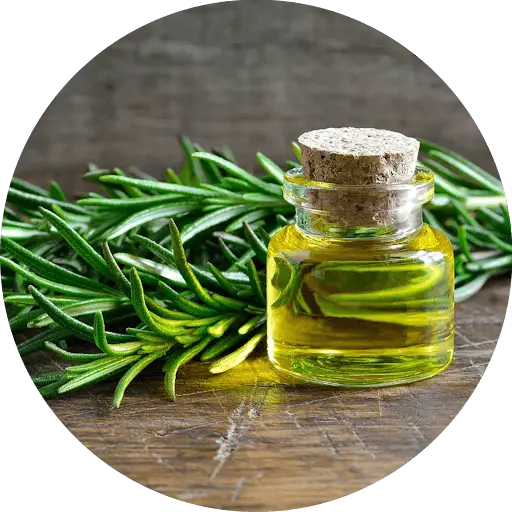 Rosemary Oil + Caffeine Boost